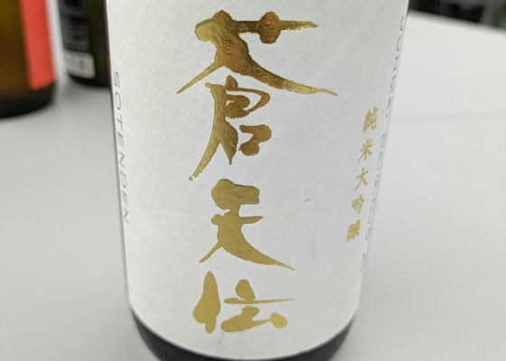 alt 1