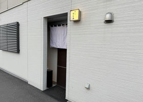 alt 3