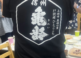 alt 3