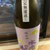 Motooi no Matsu 2