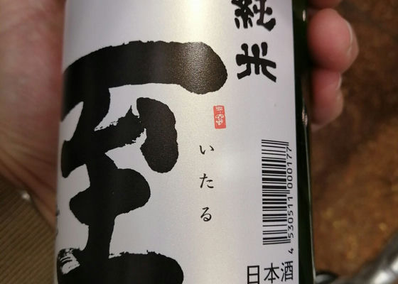 alt 1