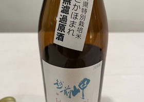 alt 3