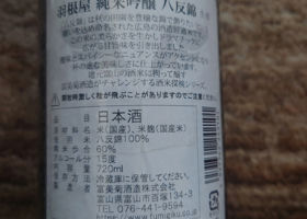 alt 1