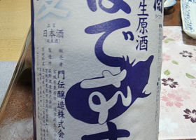 alt 1