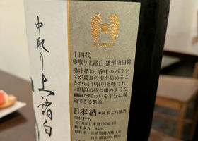 alt 3