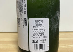 alt 3
