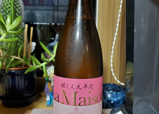 alt 1