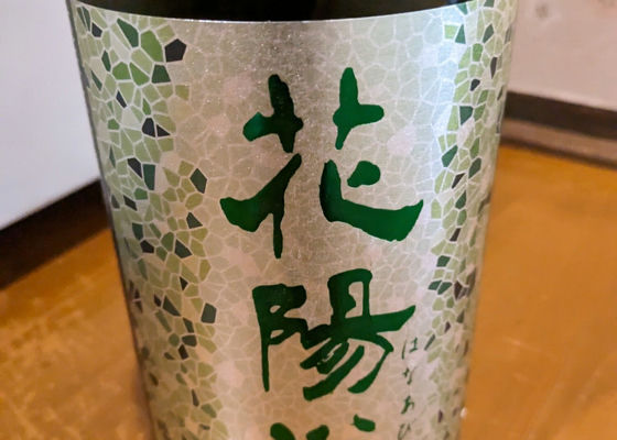 alt 1
