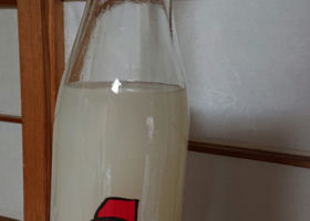 alt 1