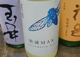 alt 1