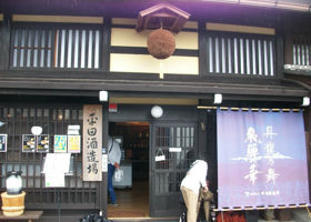 alt 3
