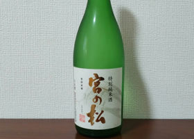 alt 2