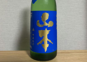 alt 1