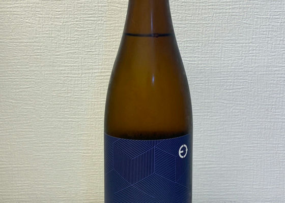 alt 1