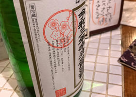 alt 3