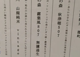 alt 3