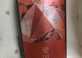 愛山-Red Diamond Check-in 1