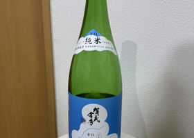 alt 1