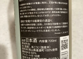 alt 3