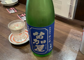 alt 1