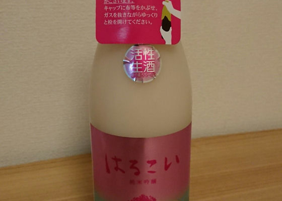 alt 1
