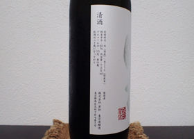 alt 3