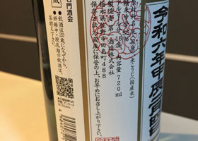 alt 3