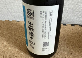 alt 3
