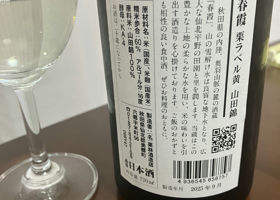 alt 2