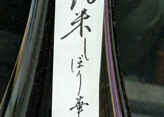 alt 1
