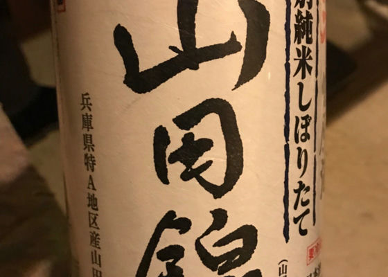 alt 1