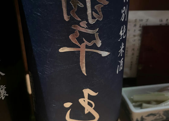 alt 1
