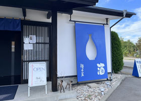 alt 3