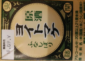 alt 3