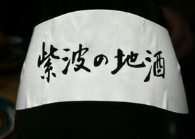 alt 3