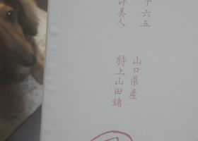 alt 3