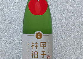 alt 1