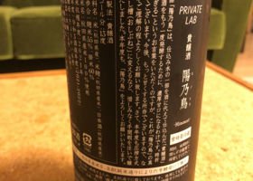 alt 3
