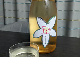 本菊泉　華酒 チェックイン 3