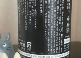 alt 3