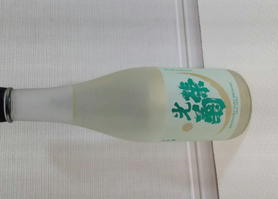 光栄菊