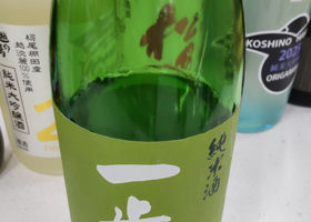 alt 1