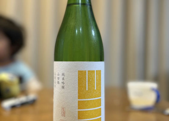 alt 1