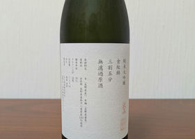 alt 3