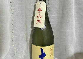 alt 1