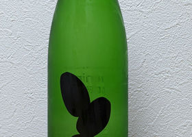 alt 1