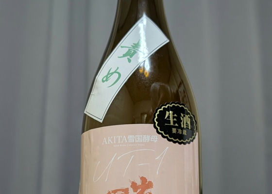 alt 1