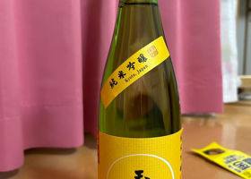 alt 2