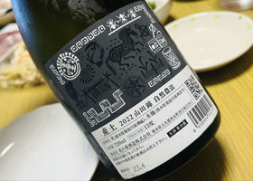 alt 2