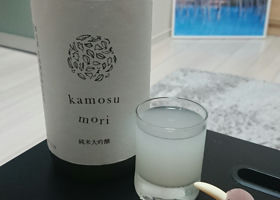 kamosu mori Check-in 1